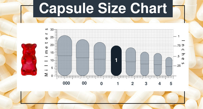 Capsules Size 1 – Clear Gelatin – 1000 Count – Pill Capsules Empty Fits Capsule