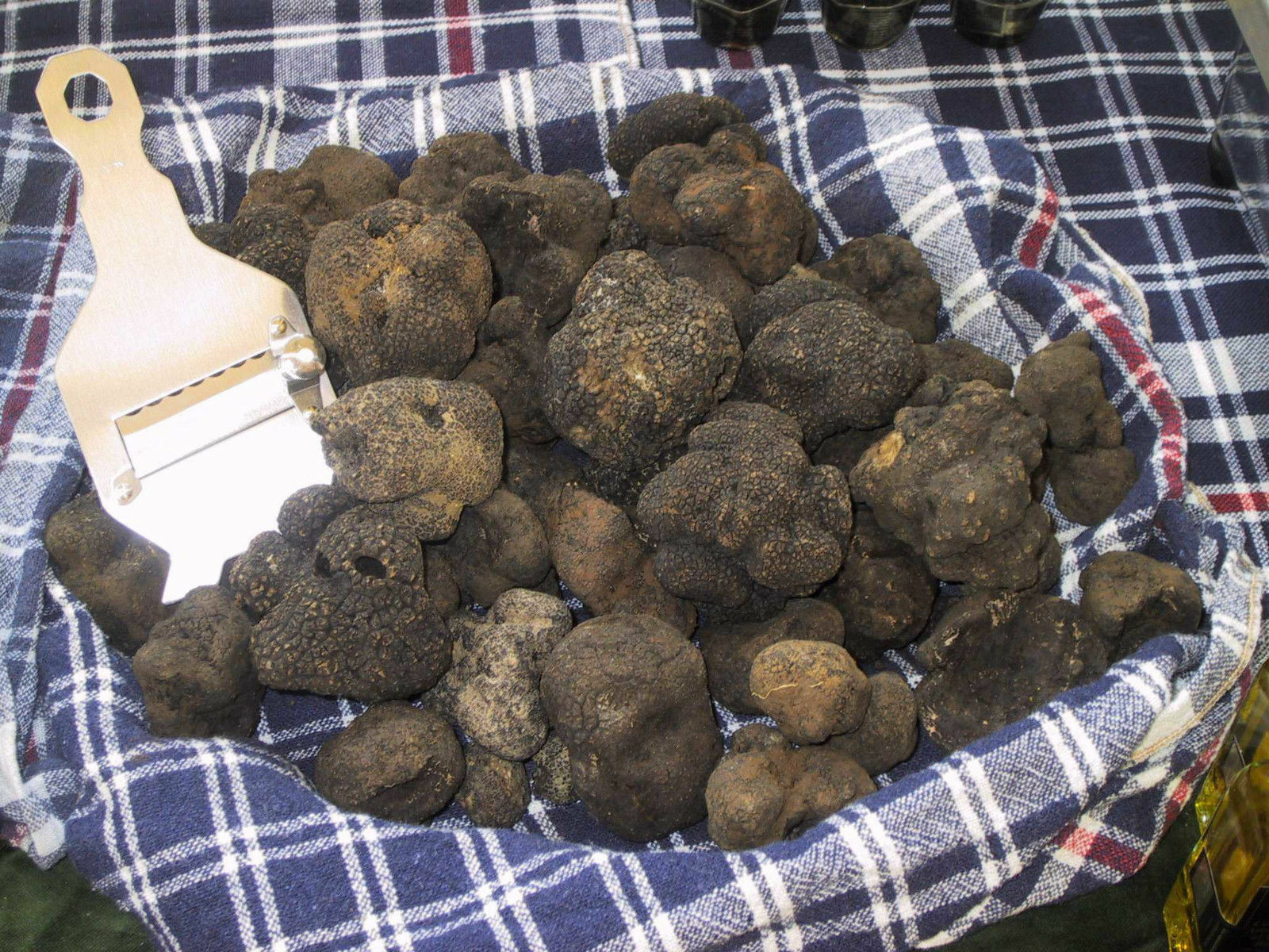 800 grams of very fine Italian fresh black truffle Uncinatum the Top. mushrooms