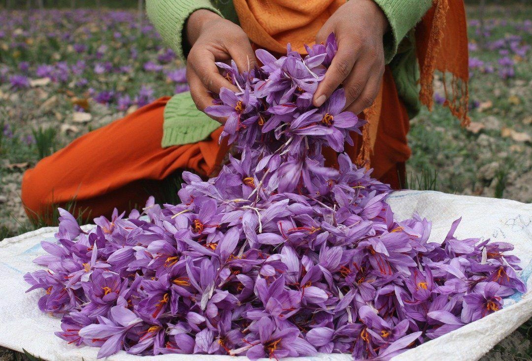 4 Box-1gm each Original Premium Saffron Untreated Uncolored Baby Brand FREE SHIP