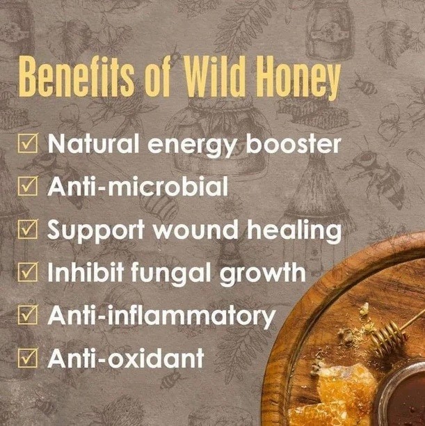 Kinohimitsu Wild Tualang Honey 500g