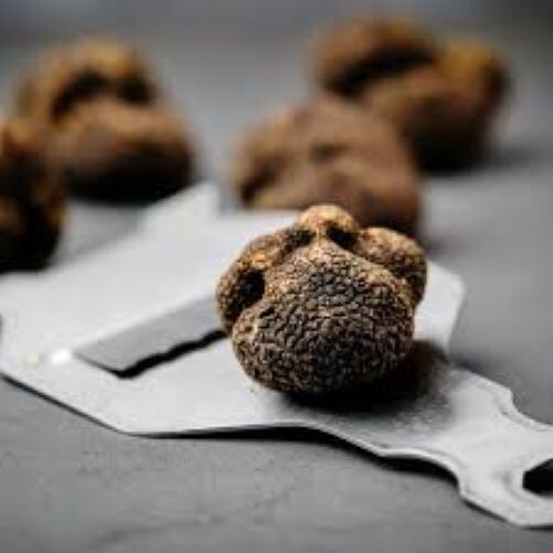 Precious Italian fresh black truffles. Black truffle 350g. 12,3 oz.Mushrooms.Top