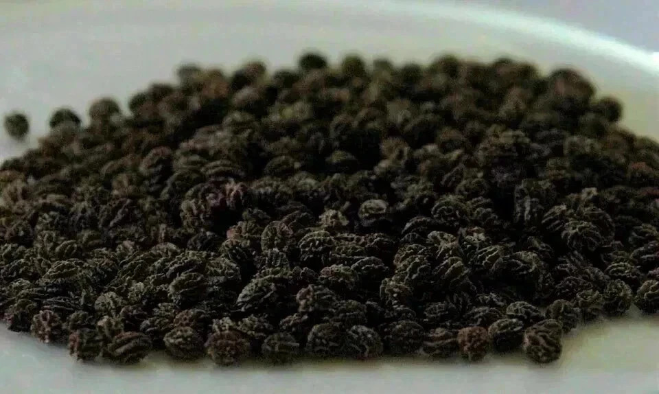 150g Dried Papaya See ds 100% Organic GMO