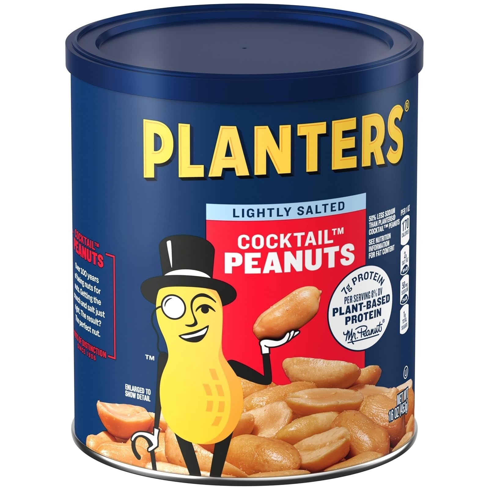 Planters Dry Roasted Peanuts, Lightly Salted, 16 Oz Jar