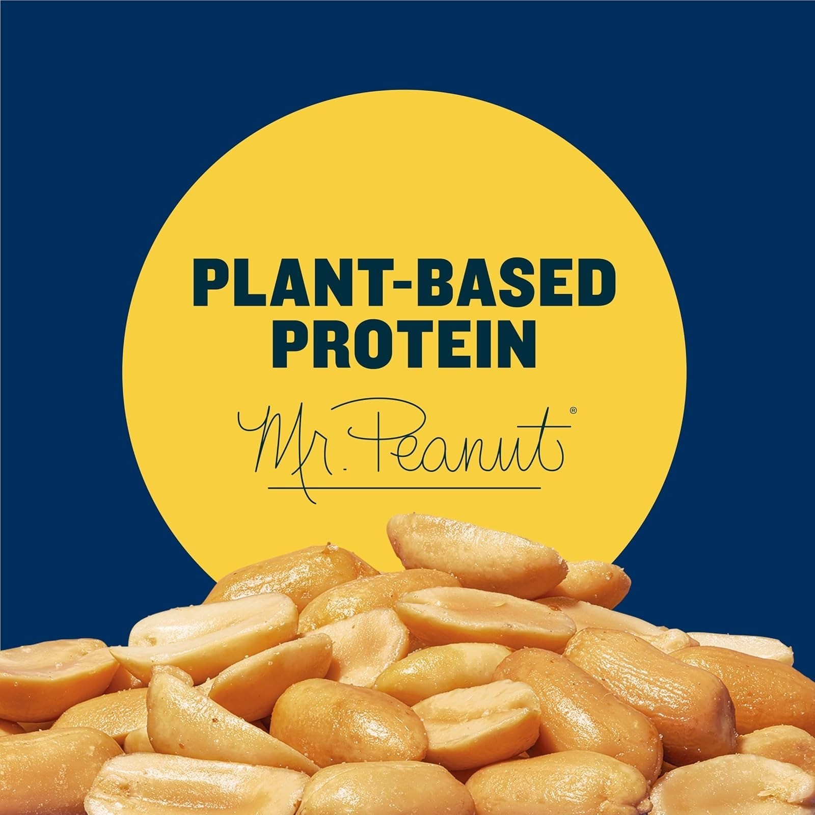 Planters Dry Roasted Peanuts, Lightly Salted, 16 Oz Jar