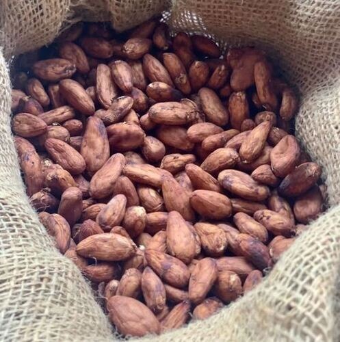 Raw Cacao Beans 1/2 lb bag | Theobroma Cacao