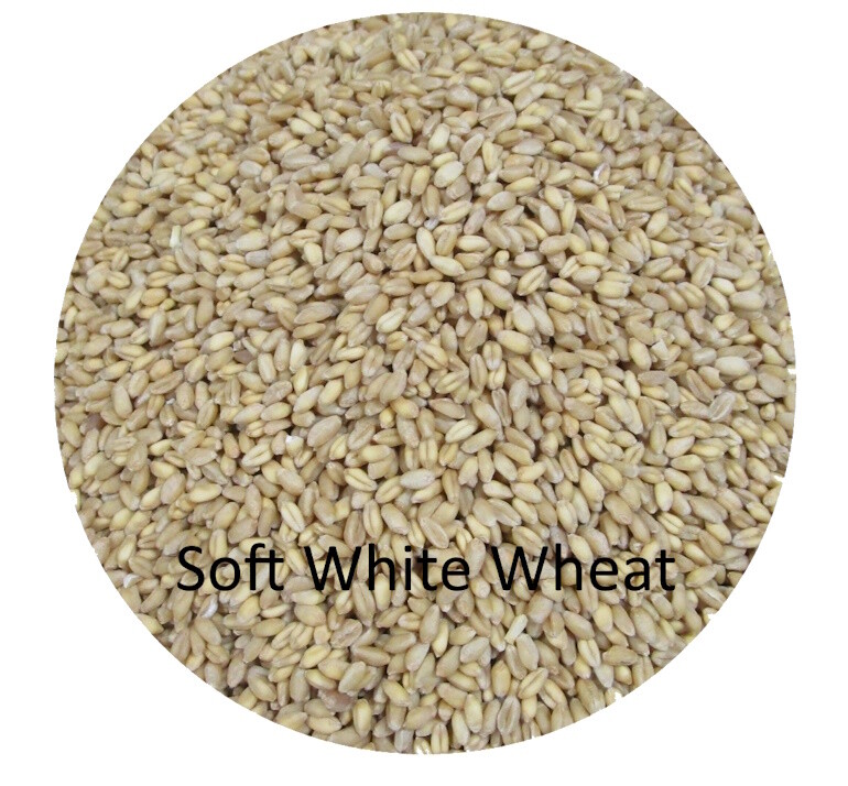 Combination Wheat Berry Bundles – Hard Red Winter, Hard White, and Soft White