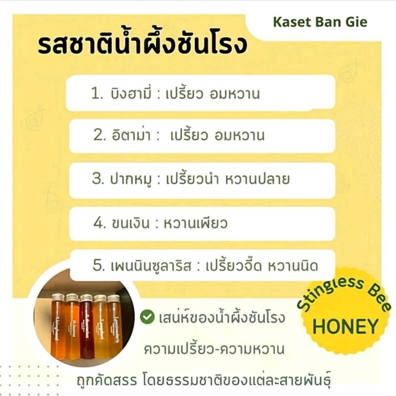 100% Pure Stingless Bee Honey Discovery Set – 5 Rare Species x 25ml – Nature’s H