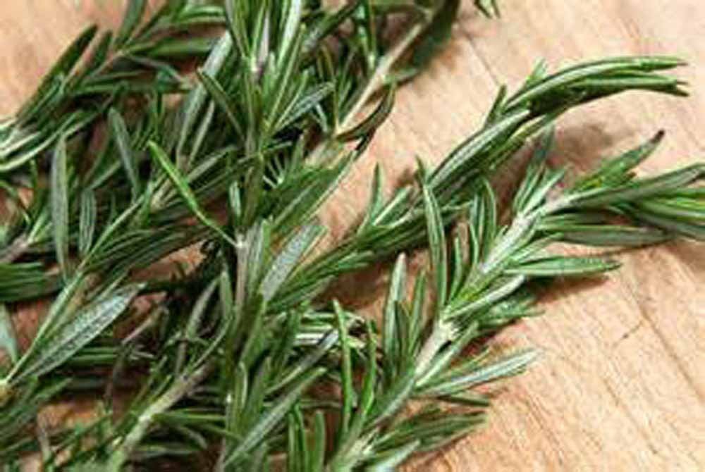 Rosemary Dried N Chopped,Herb, 2 oz pkg, Prefect for Fish and Bread.