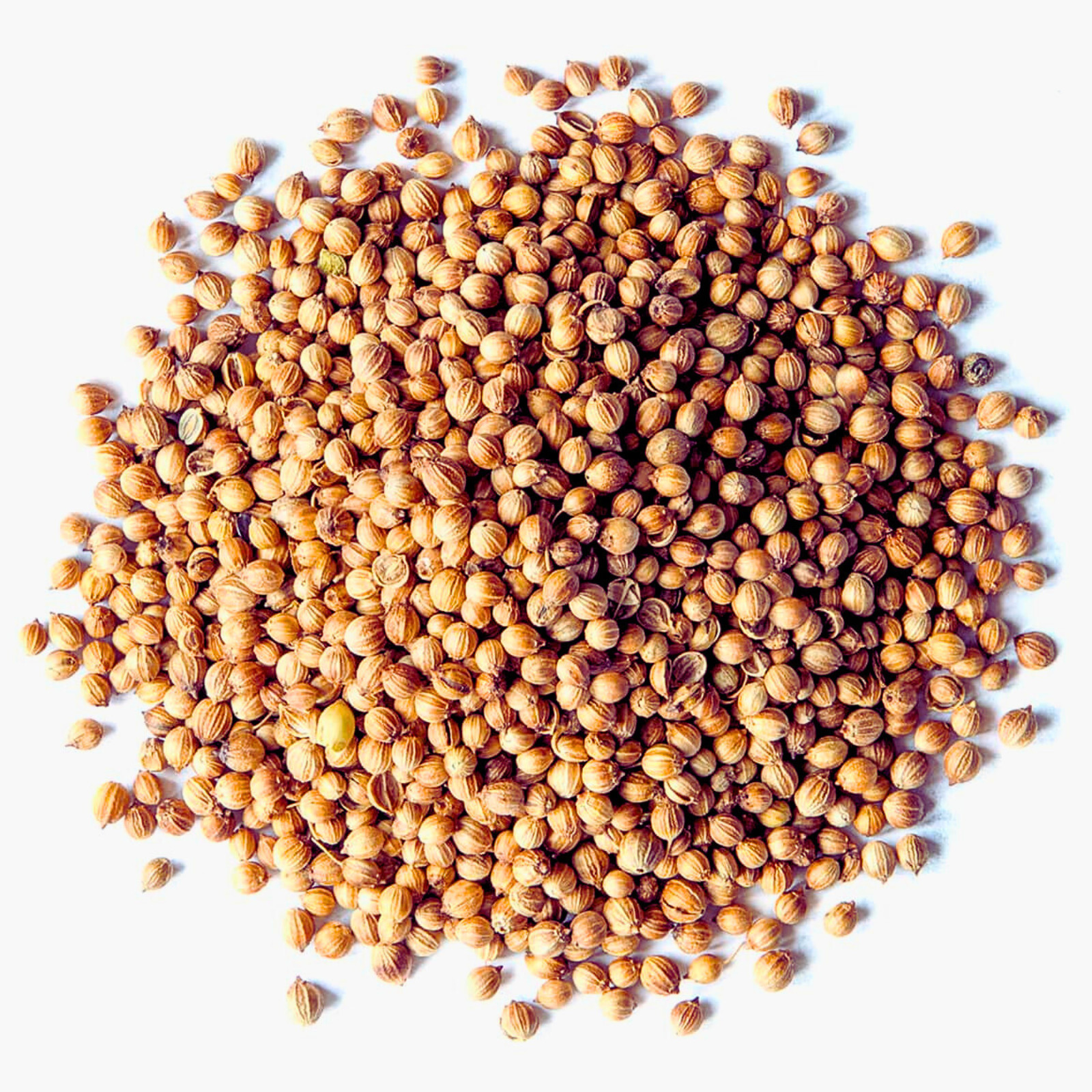 Coriander Seed | Organic Whole Seeds | Premium Quality Herbal Drink | Herb Spice
