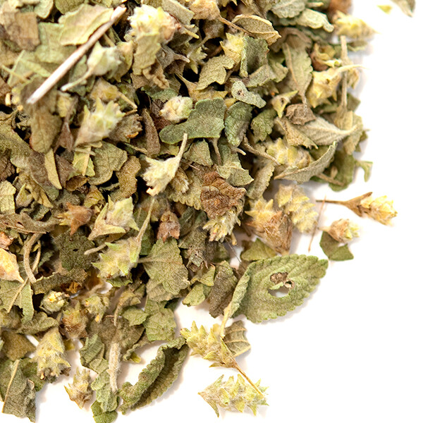 Oregano, Mexican (Greek-Cut) | Bulk | Spice Jungle