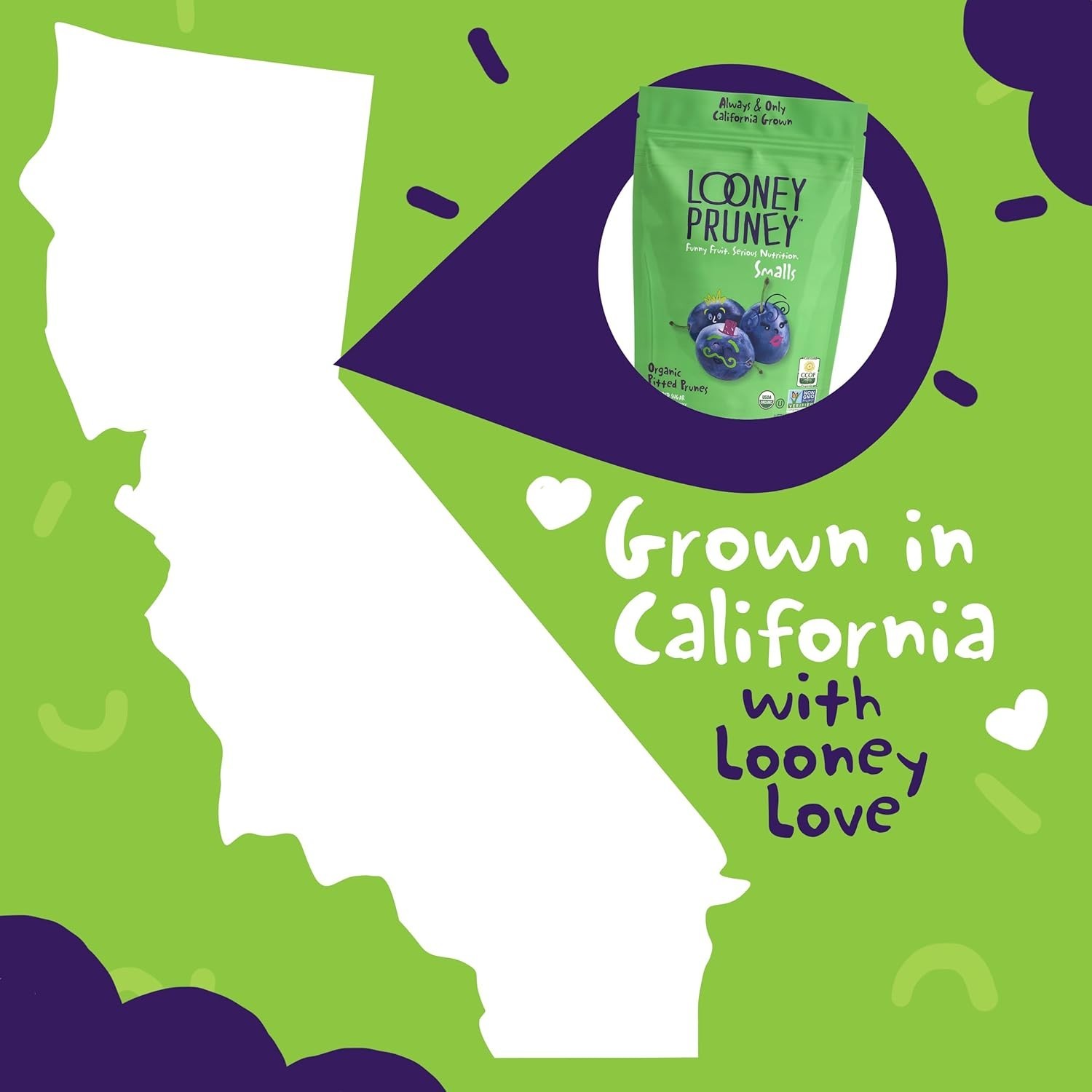 Wholesome Organic Prune Snacks – No Sugar & Preservatives, Perfect for On-the-Go