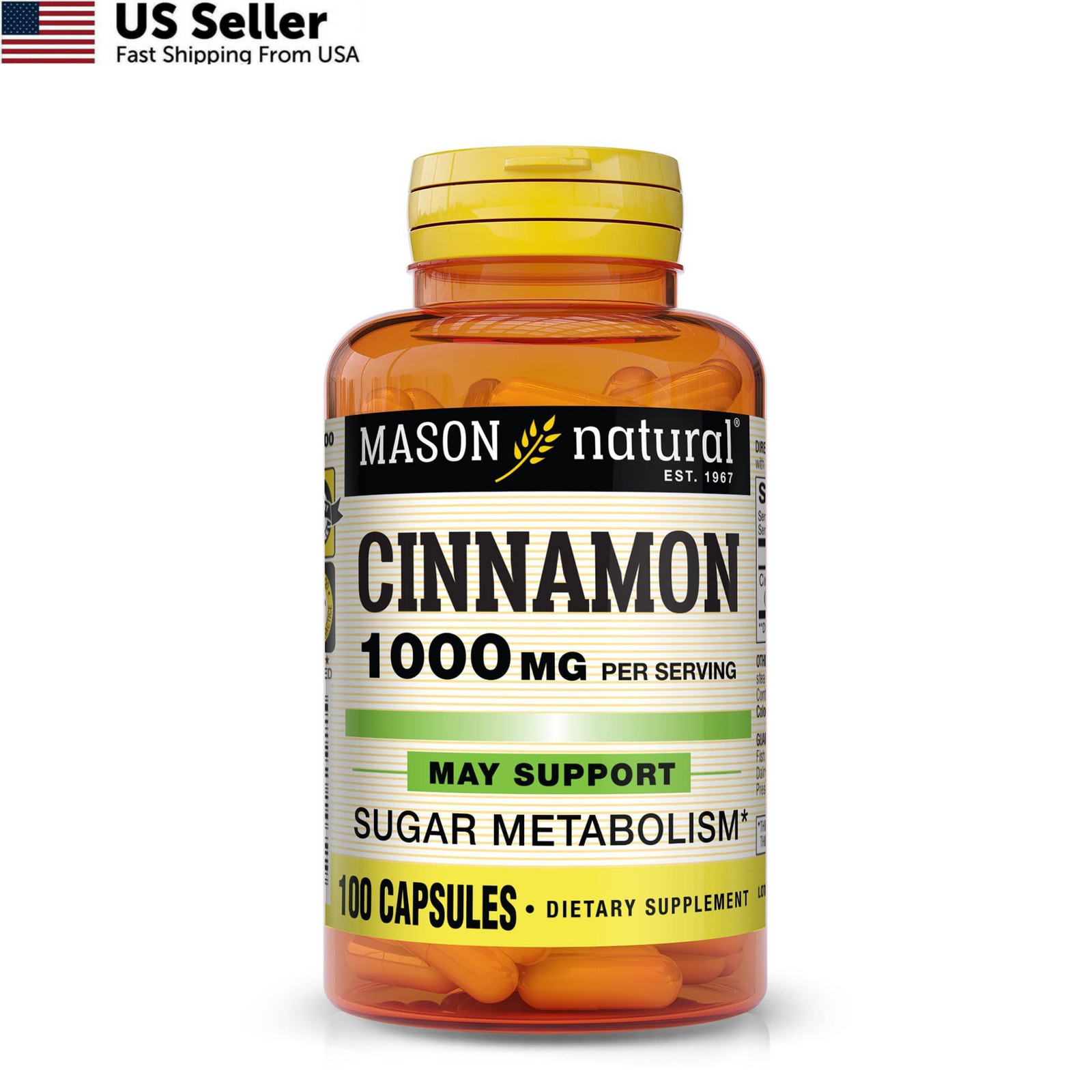 MASON NATURAL Cinnamon 1000 mg Natural Dietary 100 Count (Pack of 1)