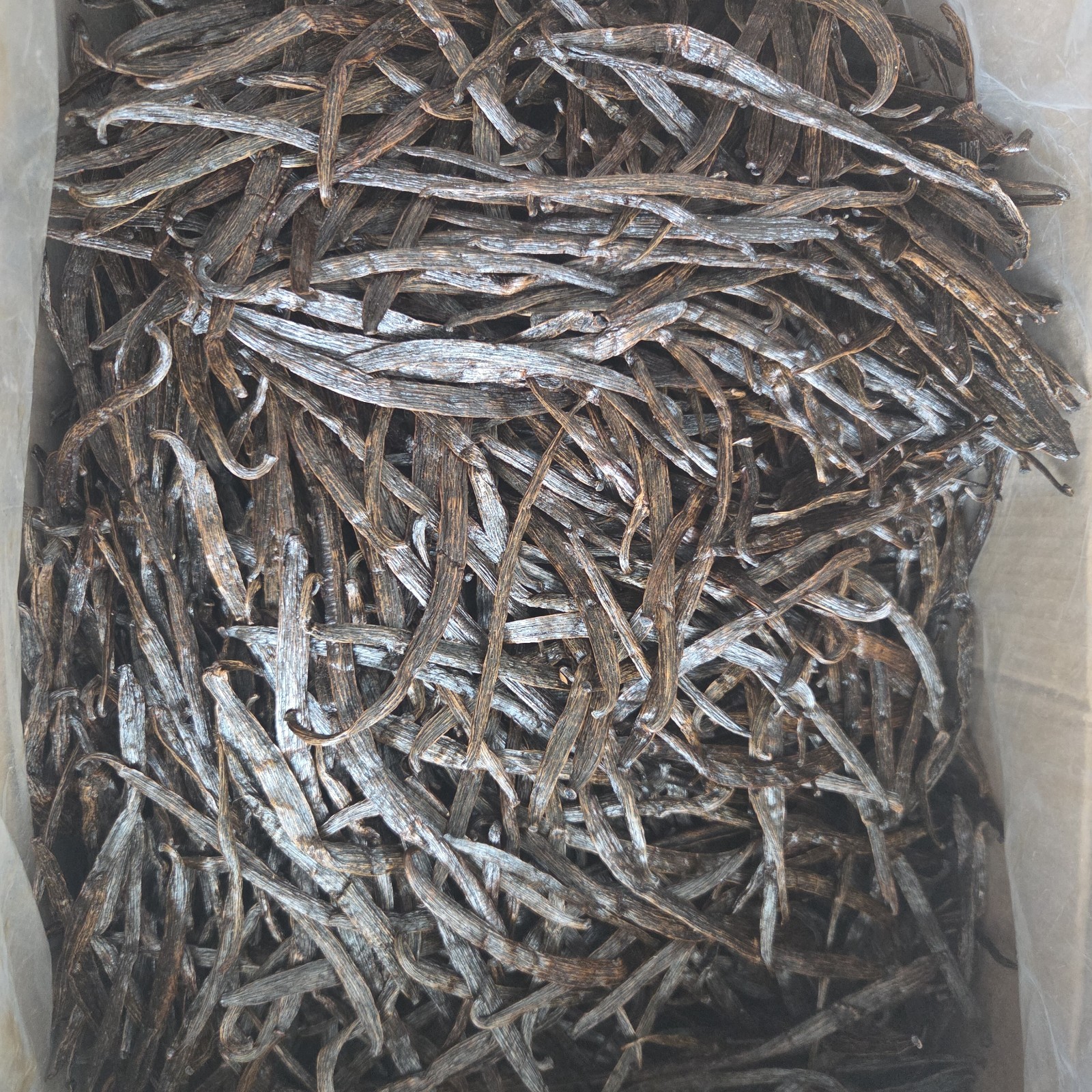 Madagascar Vanilla beans 1 Pound Grade-C For Extract