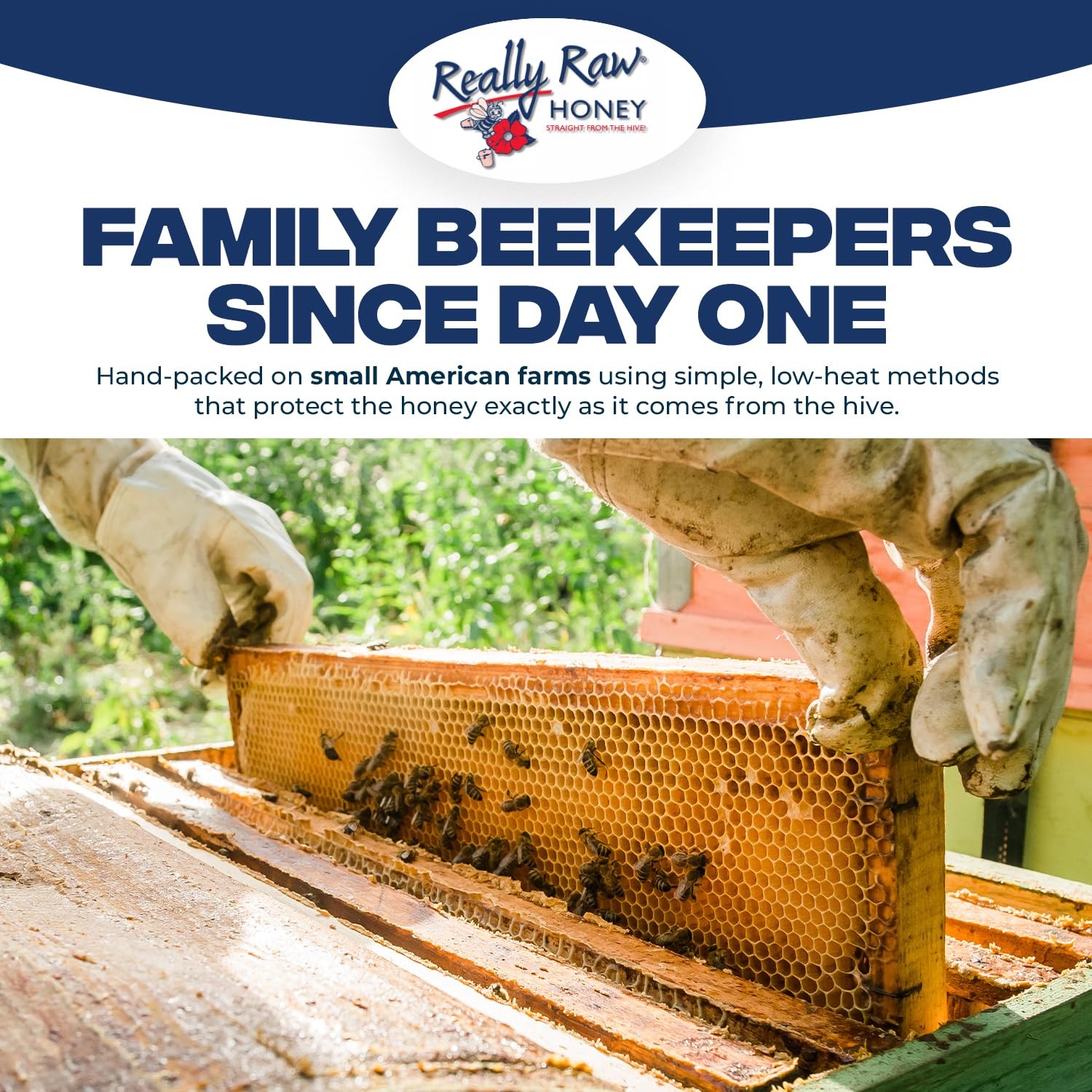 Really Raw Honey, Straight from the Hive, Never Heated or Filtered, Harvested…