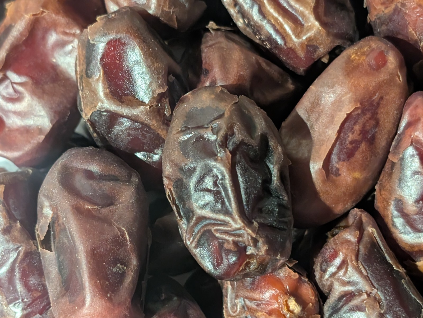 ORGANIC FRESH KOSHER DATES FROM DUBAI – 2 Pounds for $20.