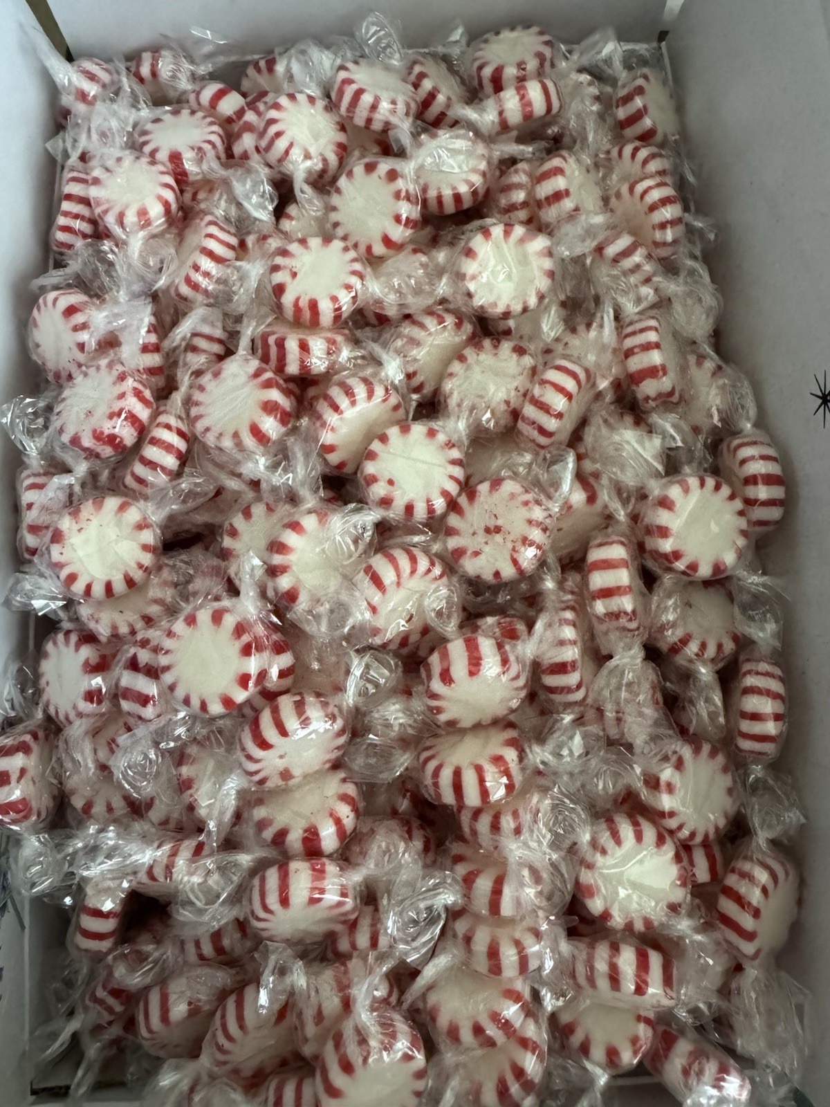 member’s mark starlight mints 7 lbs.