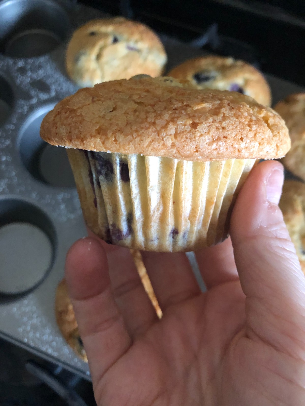 Lemon Blueberry Muffins * Homemade with Organic Ingredients