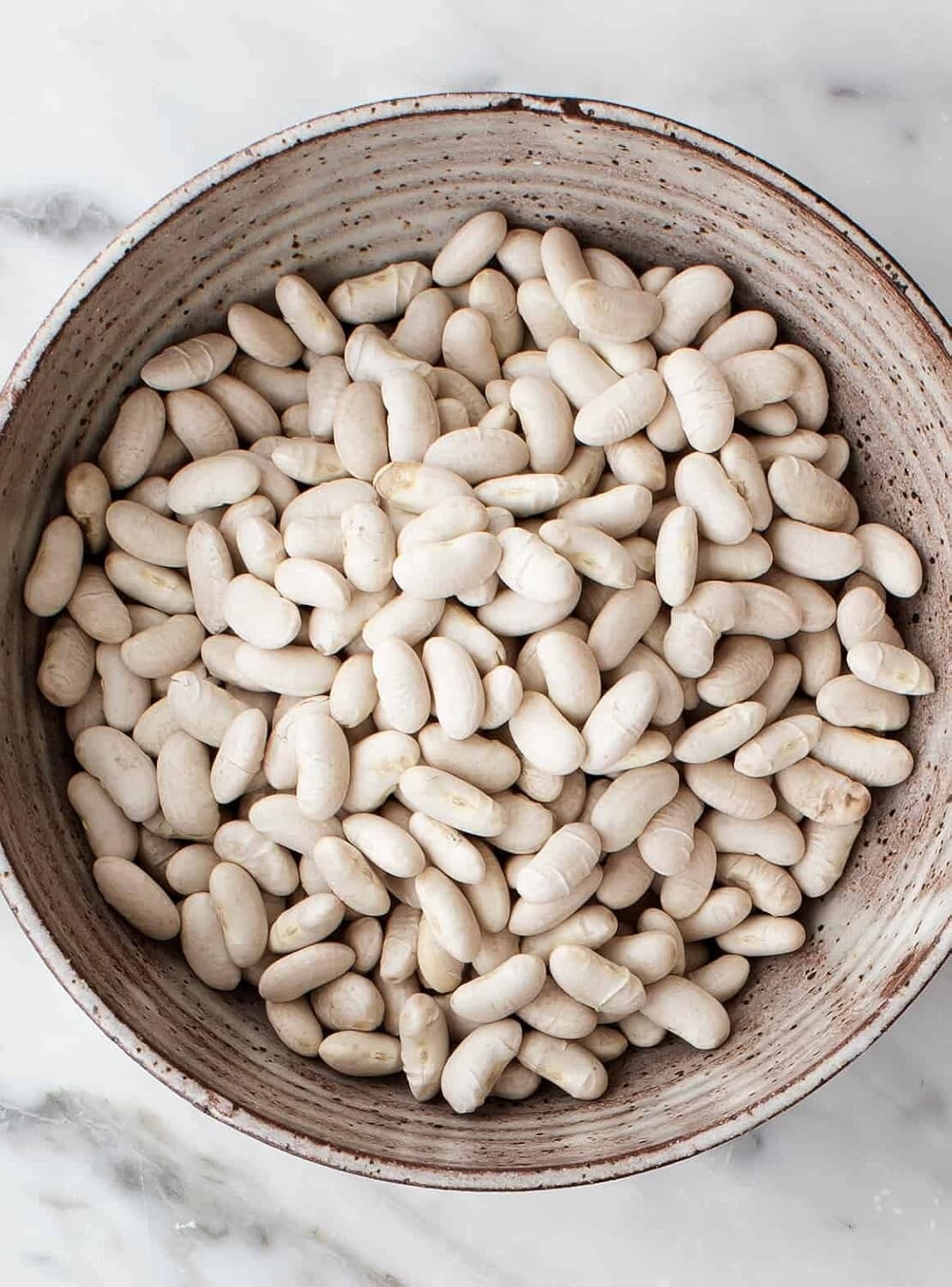 Organic Bulk Dry Cannellini Beans 35 Pounds