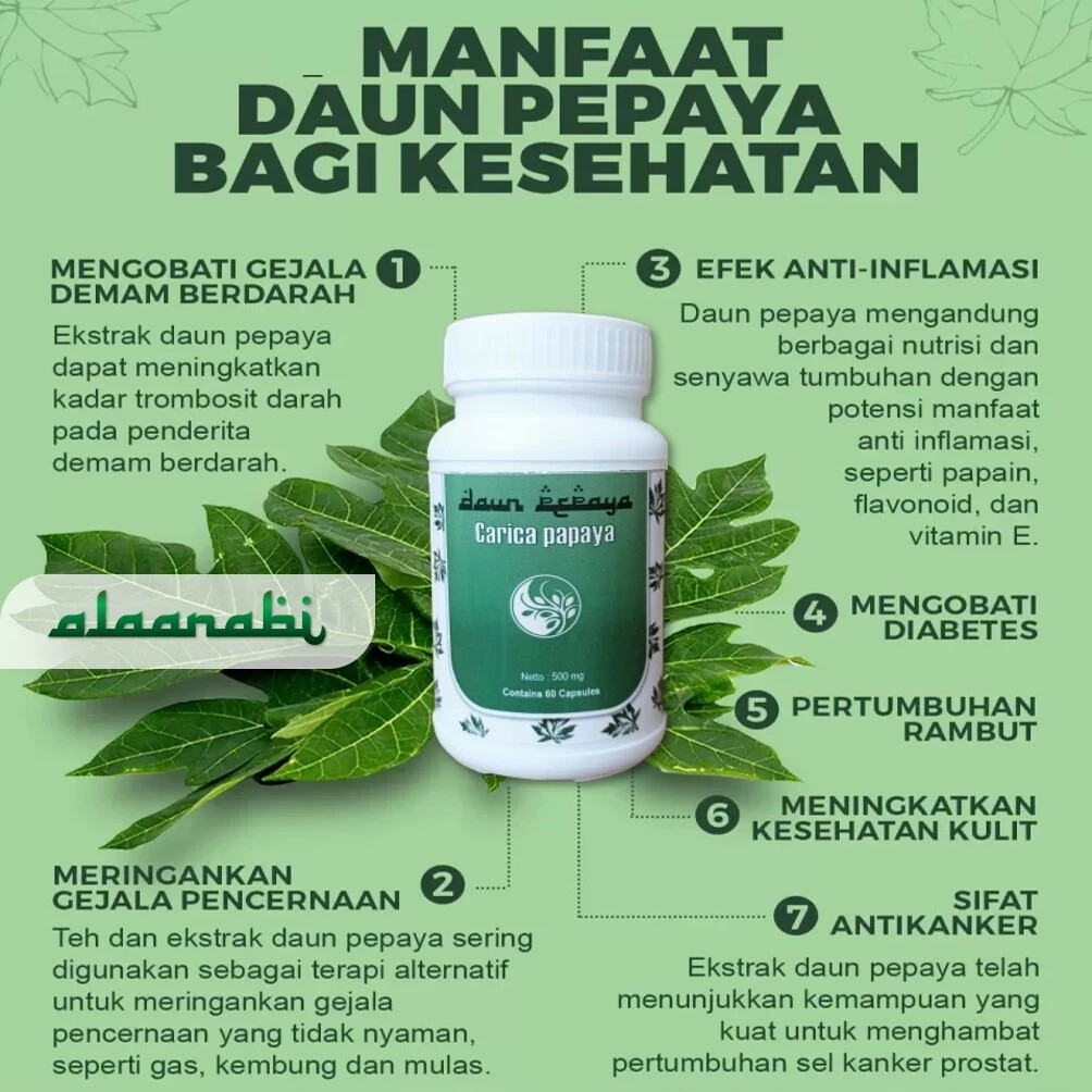 Papaya leaves Natural Organic Herbs Spices Fresh Pure Hygienic Premium Original