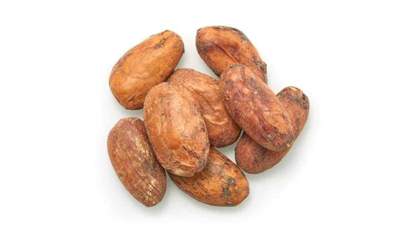 Organic Raw Cacao Beans 2.2 lb Unroasted Vegan Gluten Free Chocolate Making