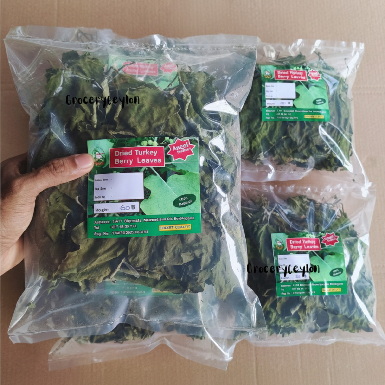 Organic Dried Turkey Berry Leaves Dried Solanum Torvum 100% Natural Pure Leaf
