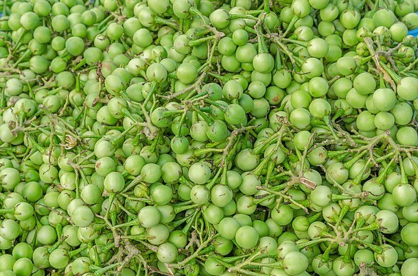 Ceylon 100% Pure Sun Dried Turkey Berry Seeds Solanum Torvum Natural Organic.