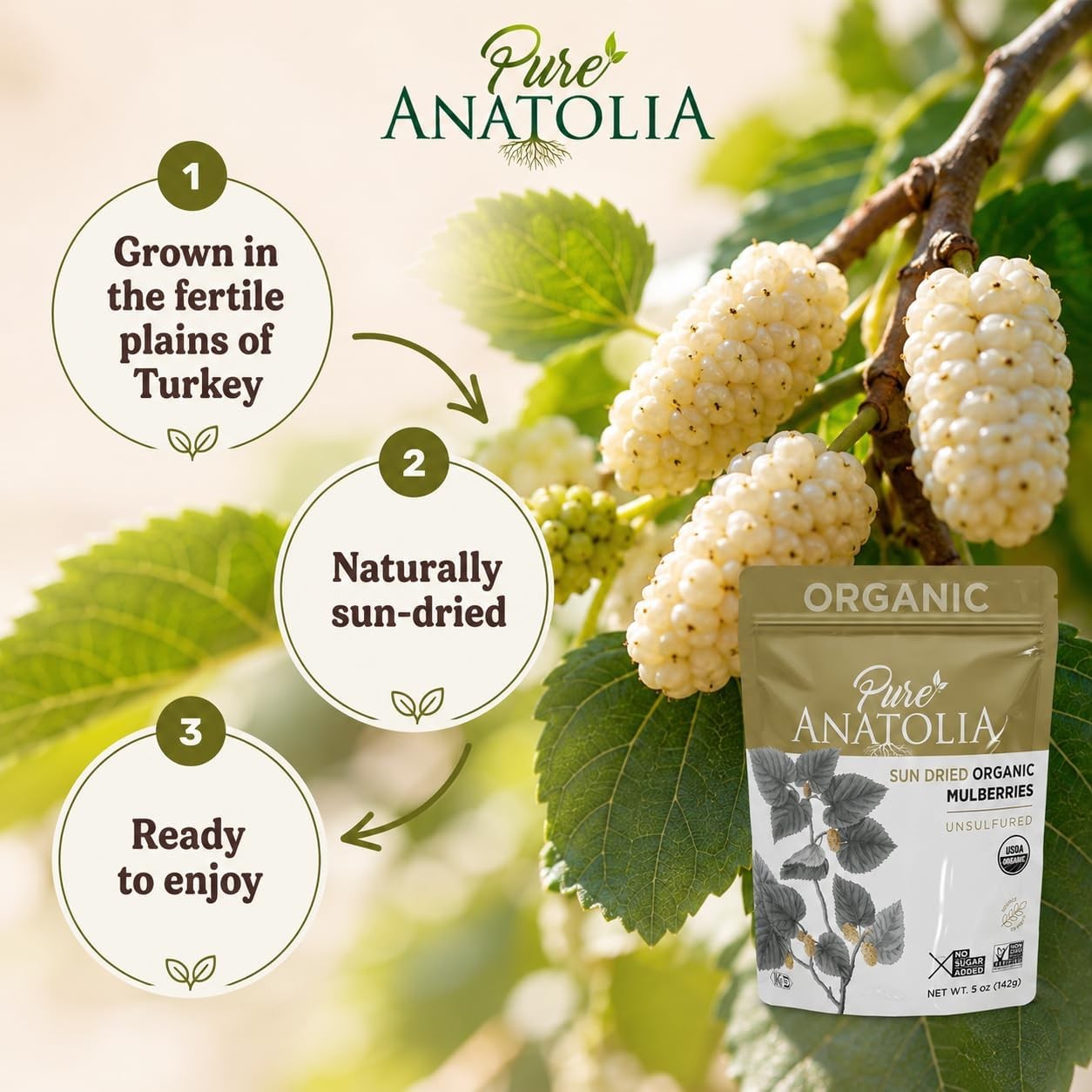 Pure Anatolia Organic Sun Dried Mulberries – Dried White Mulberries from Turkey