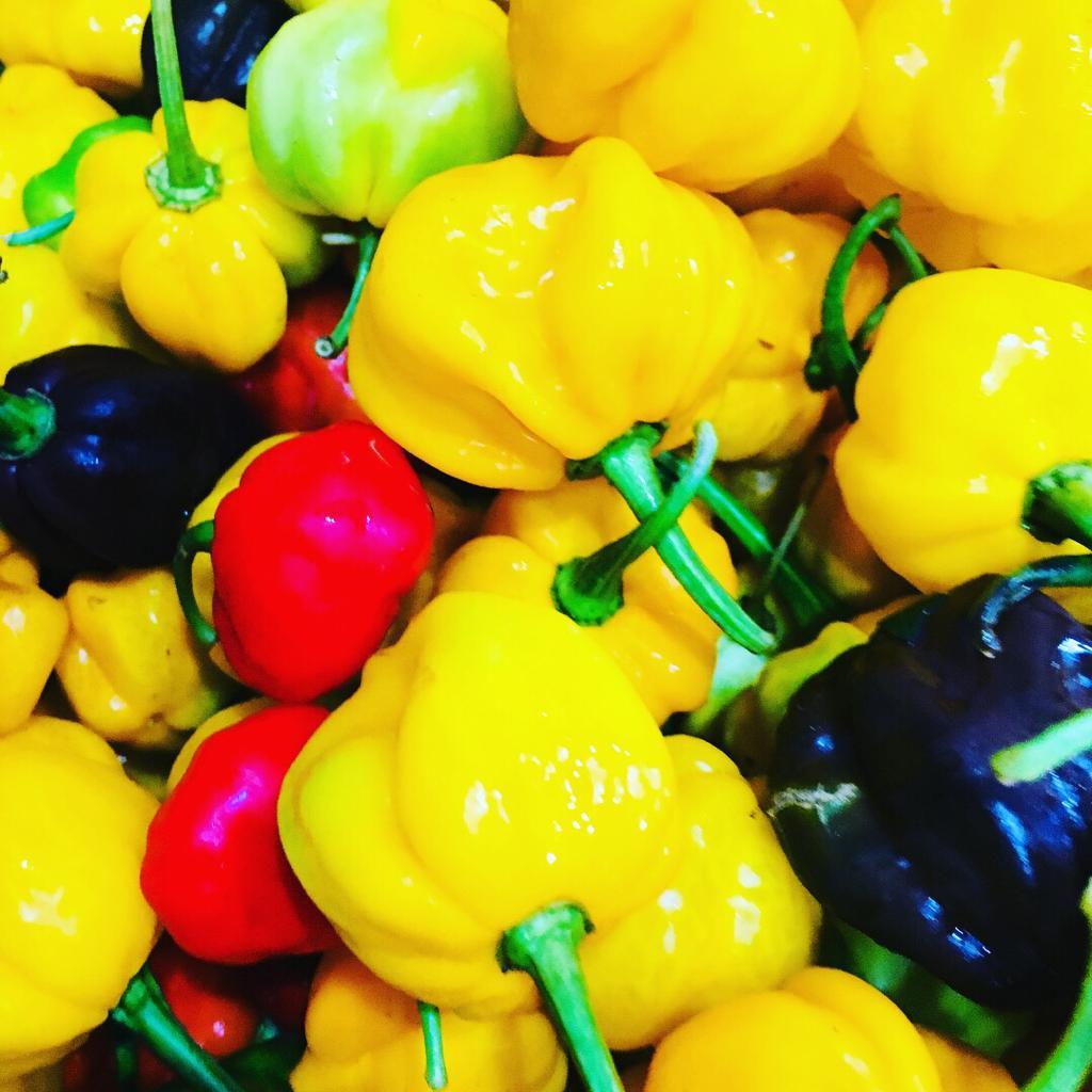 Carolina Reaper, Ghost, Scotch Bonnet, Habanero Peppers Organic Flakes VERY HOT!