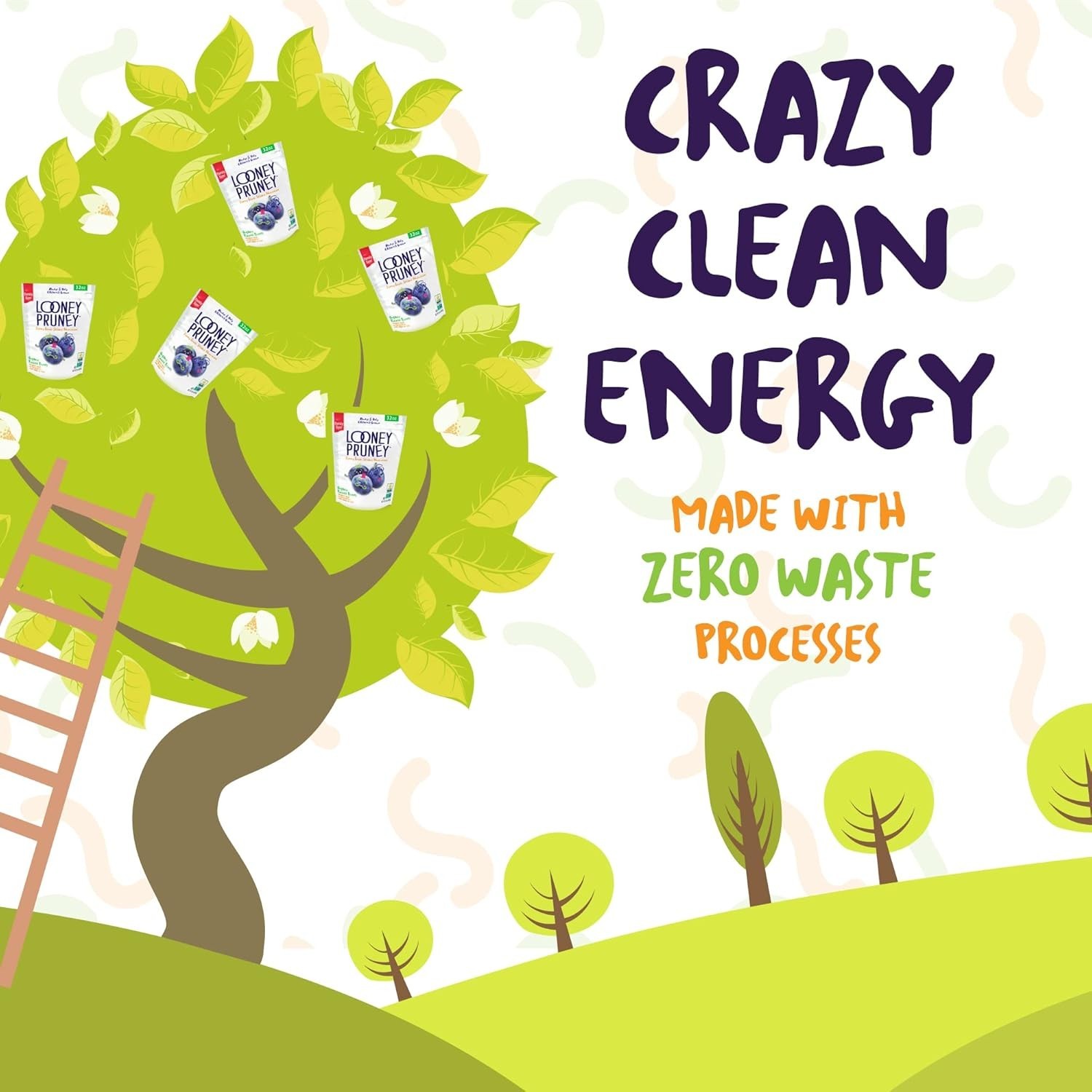 Wholesome Organic Prune Snacks – No Sugar & Preservatives, Perfect for On-the-Go