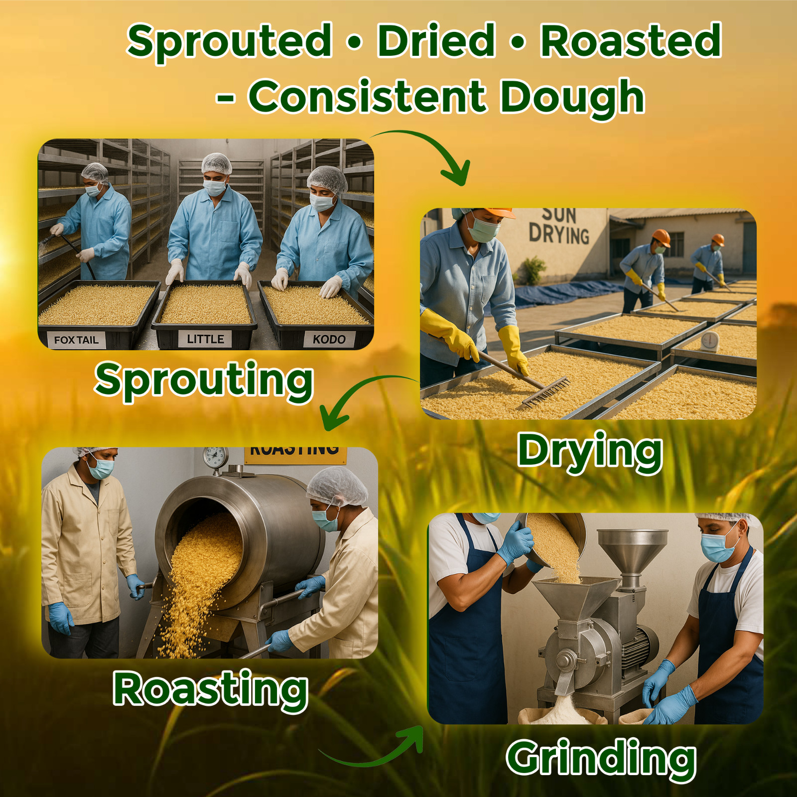 Danodia Foods Sprouted Roti/Chapati Flour–7-Millet+Whole Wheat (60/40), 9502lb
