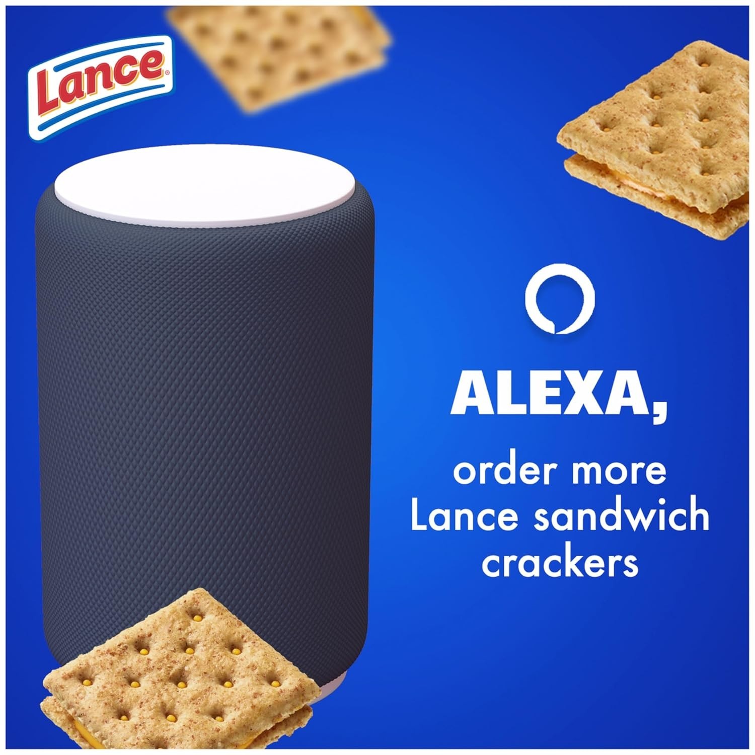 Lance Sandwich Snack Cookies Crackers, Whole Grain Cheddar Cheese, 10 Packs