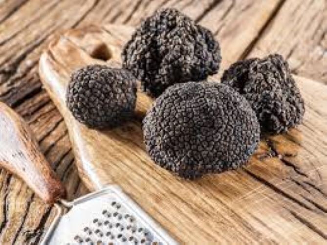 Precious Italian fresh black truffles. Black truffle 180g. 6,4 oz. Mushrooms.