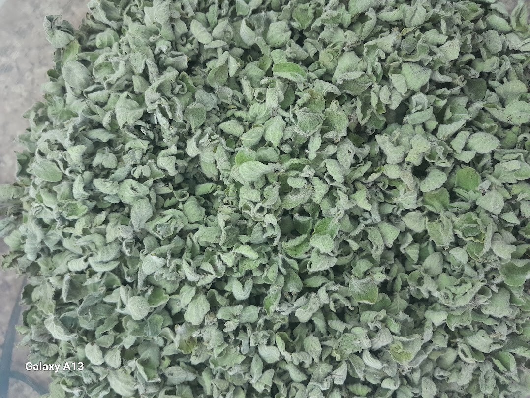 Organic Dried Washed WILD Thyme Zaatar leaves (60 grams) (sun dried)