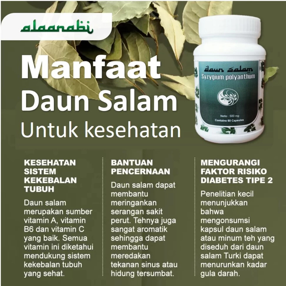 Salam Leaf Natural Organic Herbs Spices Fresh Pure Hygienic Premium Original