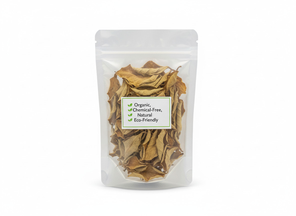 100% Dried Organic 10g Turkey Berry Leaves (Solanum Torvum) Leaves Natural Pure