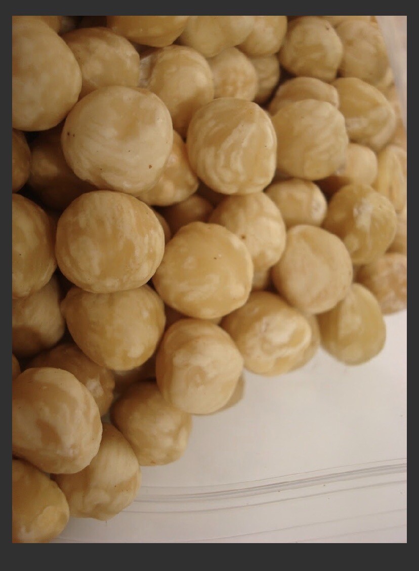 Turkish Blanched Shelled Hazelnut Always Fresh 2025 Crop 11 oz.to30 lbs. Agro Su