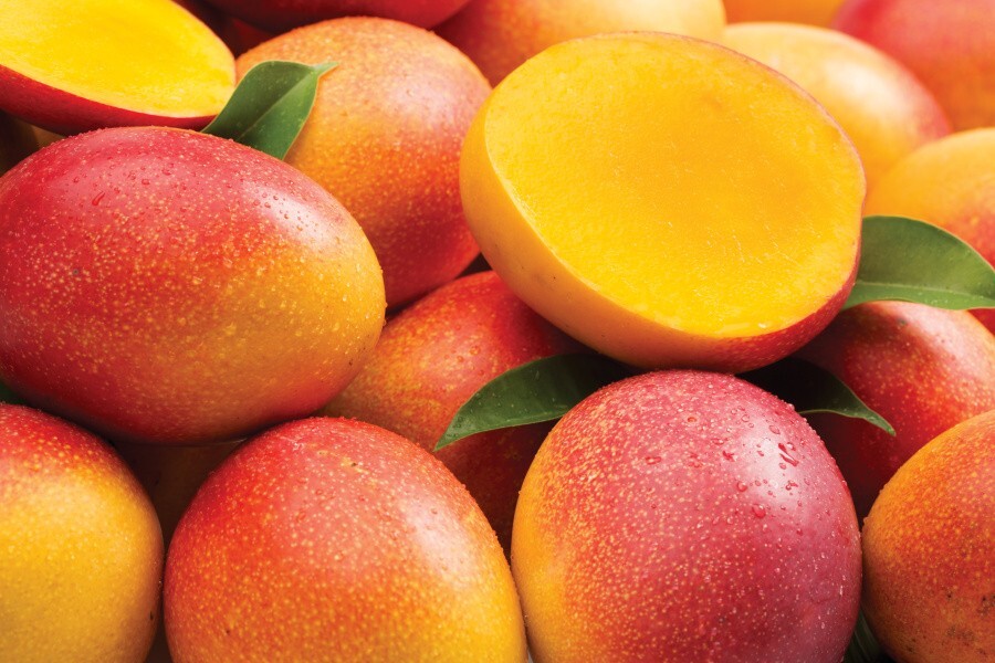 Fresh Organic Florida Mango Fruits 4lbs. Actual Fruits