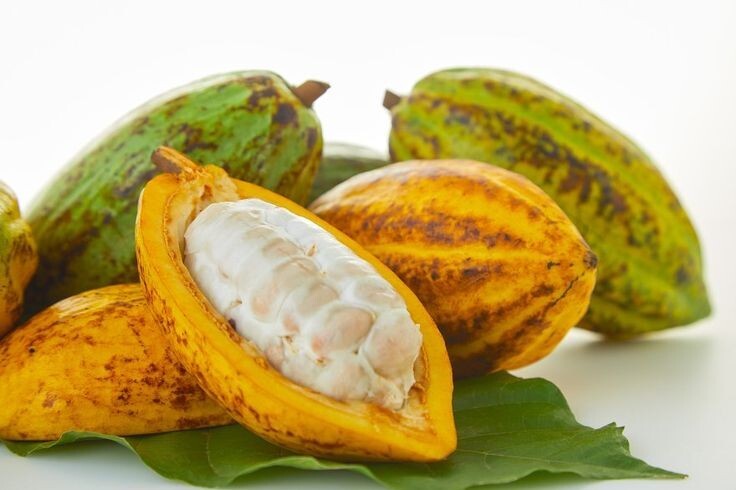 Ceylon Organic Raw Cacao Powder 100% Organic Arriba Nacional Free Shipping