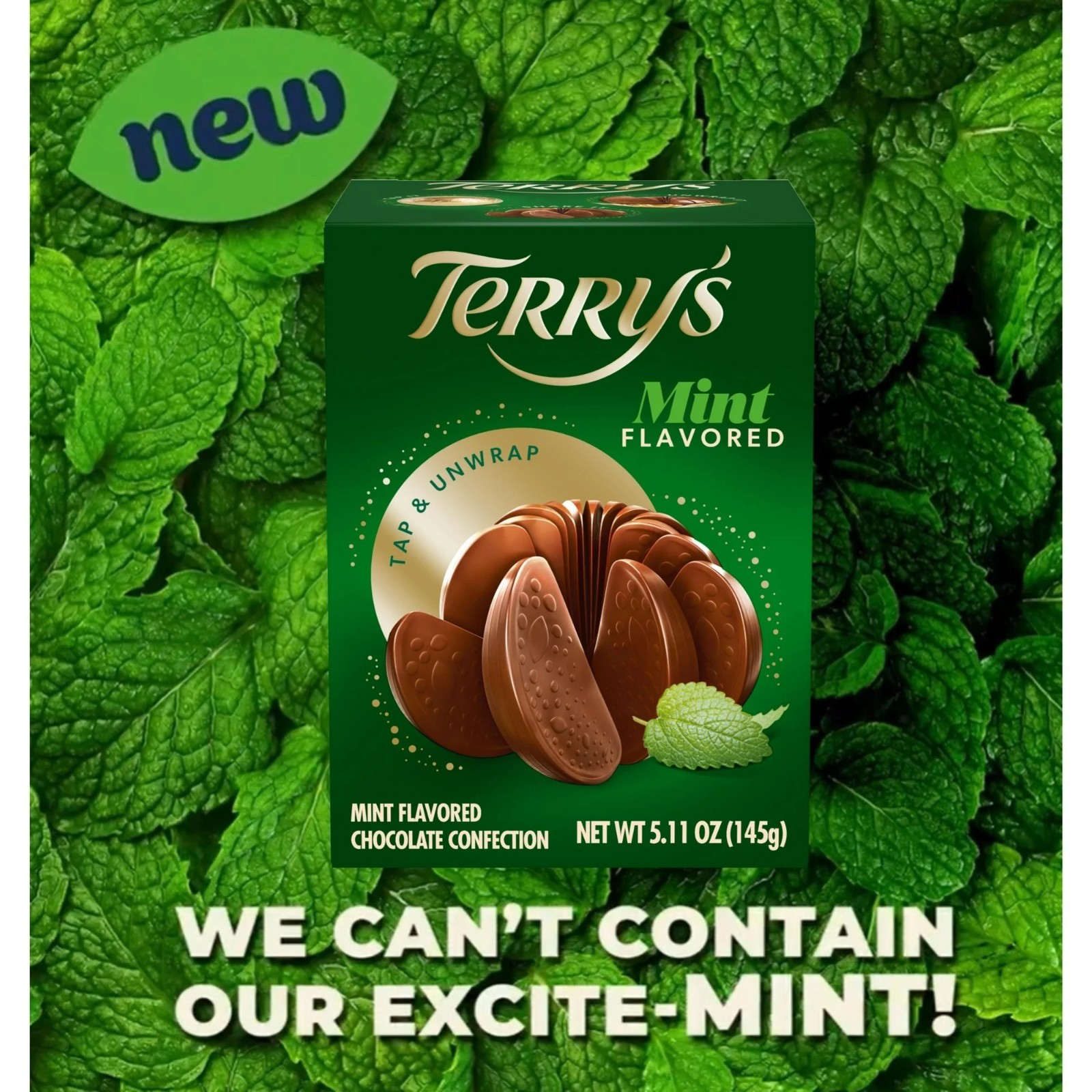 Terry’s Milk Chocolate Natural Mint Splits 20 Orange Sections Candy 5.11oz 2 Pk