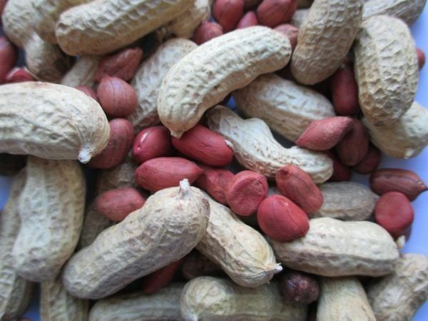 Edible Red Peanuts no chemical fertilizers