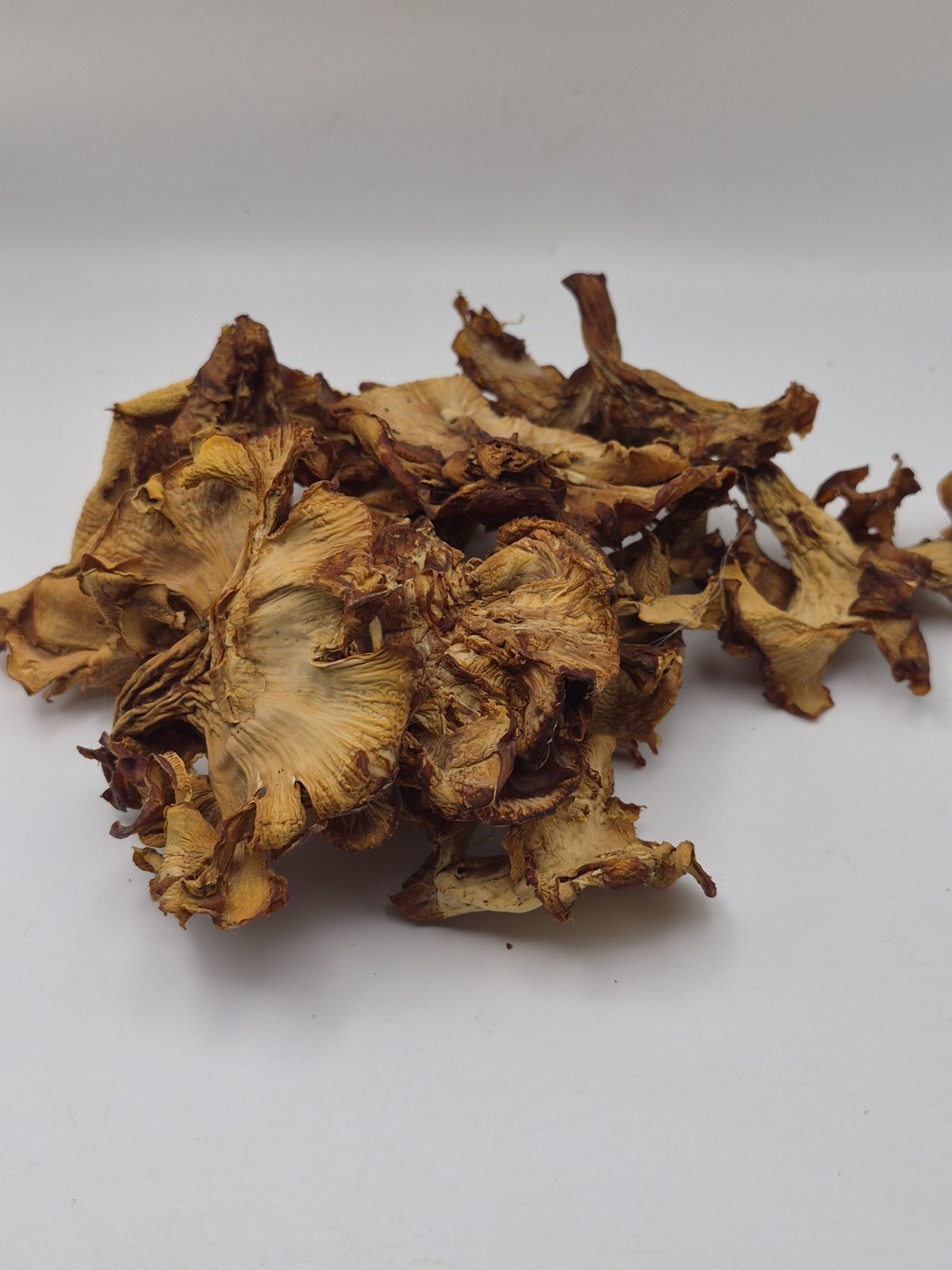Dried Wild Golden Chanterelle Mushrooms Oklahoma June 2026 1oz