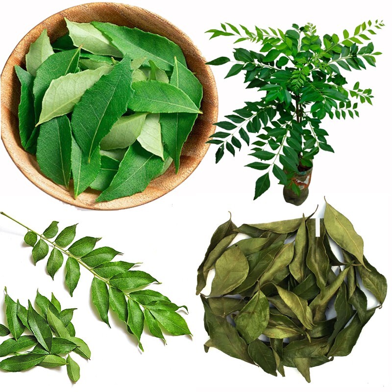 ORGANIC 100% DRIED CURRY LEAVES Ceylon natural pure murraya koenigii 40g