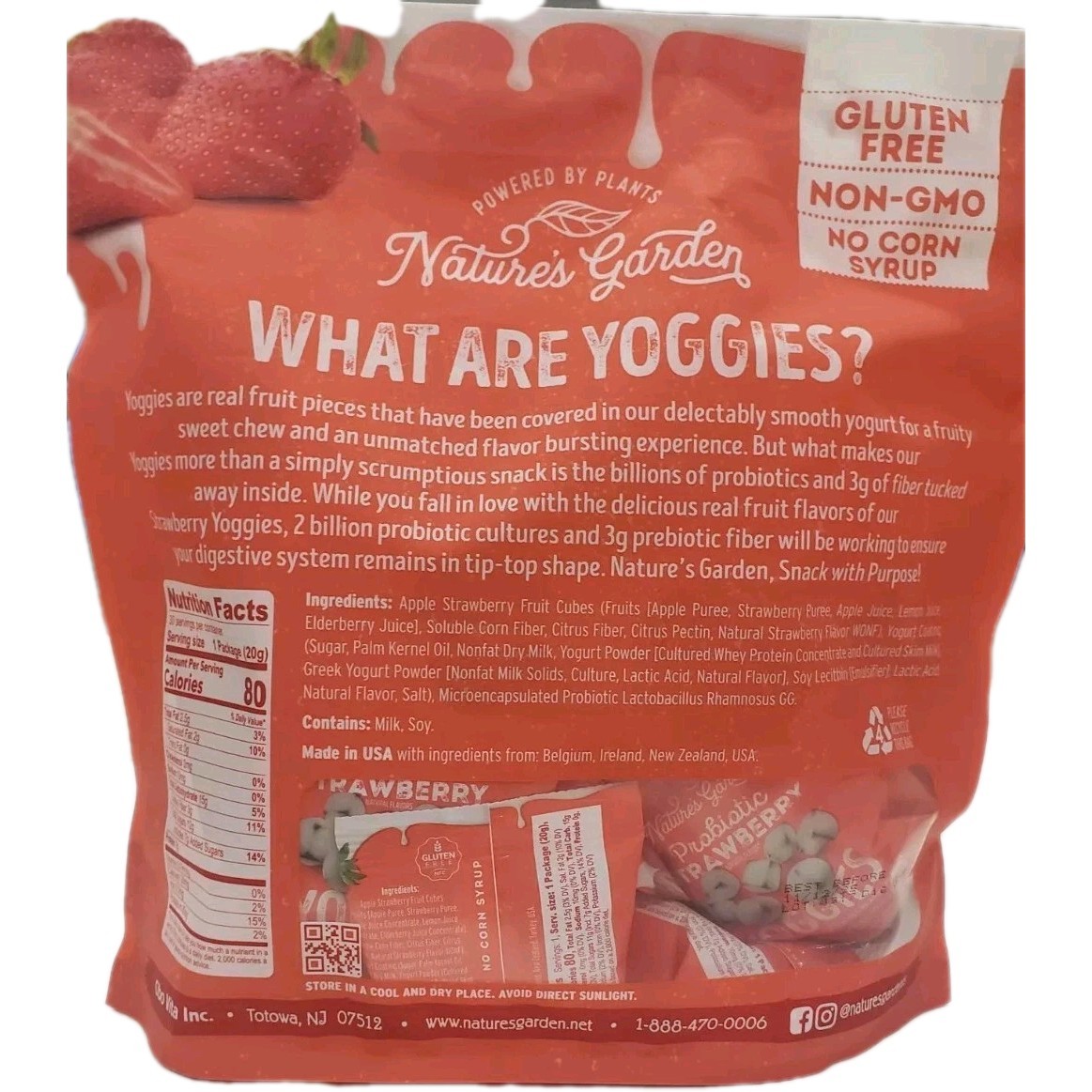 Yoggies Probiotic Strawberry Gluten Free Real Fruit Pieces Nature’s Garden 21 Oz