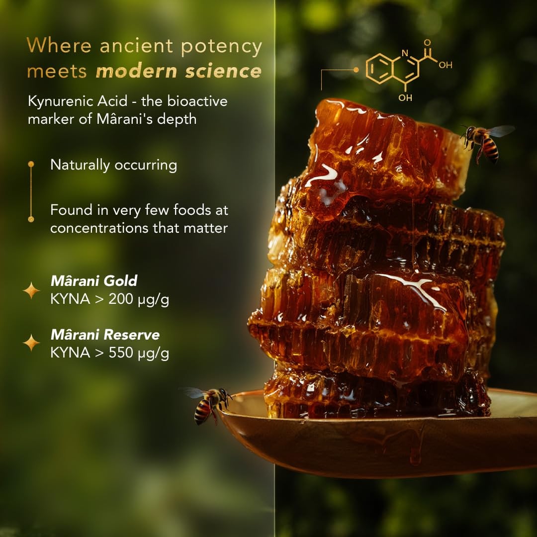 Mârani Raw Chestnut Honey from Himalayan HighAltitude Forests | Natural Unfil…