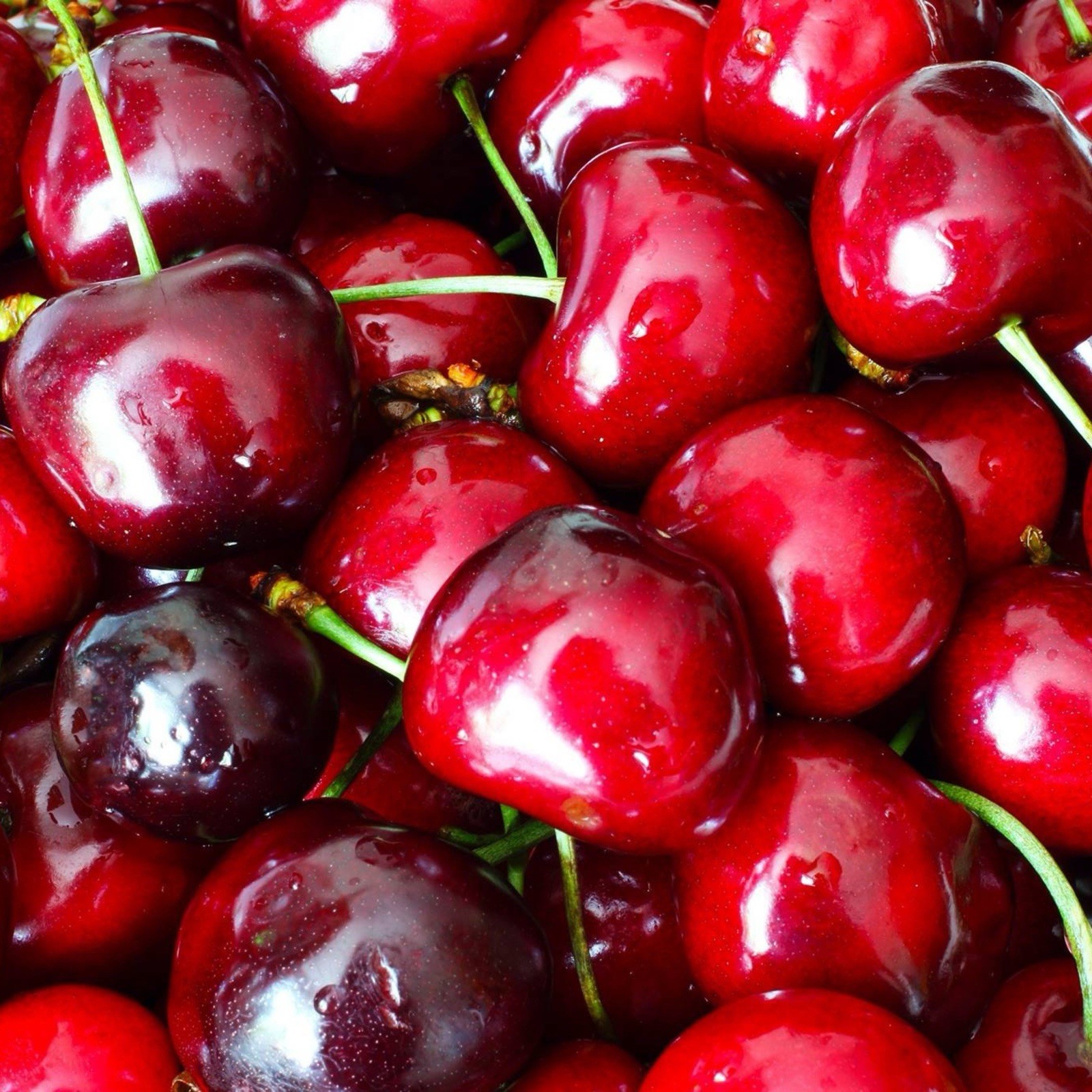 4 Packs Trader Joe’s Freeze Dried Tart Cherries -1,2 oz/34 g each – EXP 11/2027