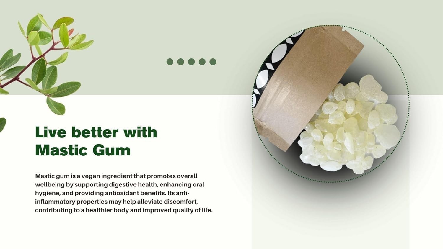 Mastic Gum Chios Mastiha Gum Greek 100% Natural Packs 20 gr /0.88Oz Medium Tears
