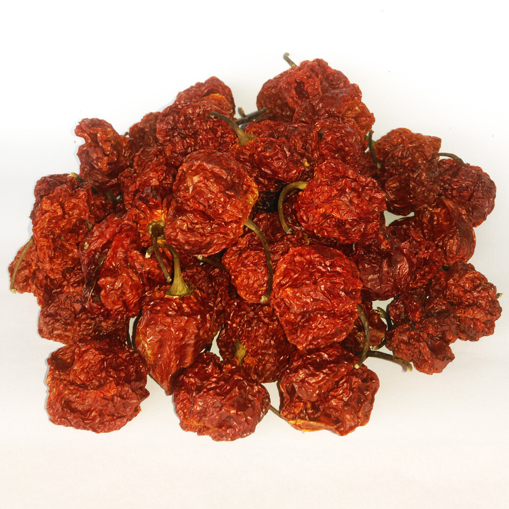 7 Pot Brain Strain Dried Pods – Premium Quality Chili, Amazing Taste! VERY HOT!