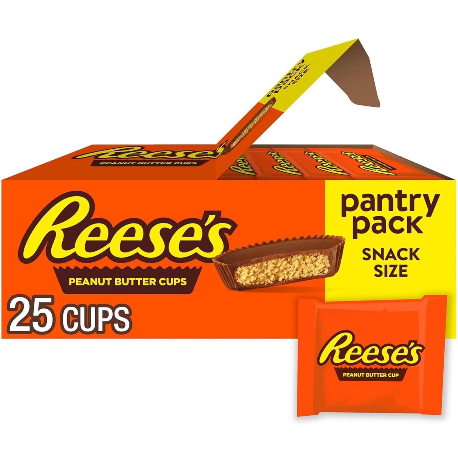 Reese’s Milk Chocolate Snack Size Peanut Butter Cups, 13.75 Oz (25 Pieces) | Eba