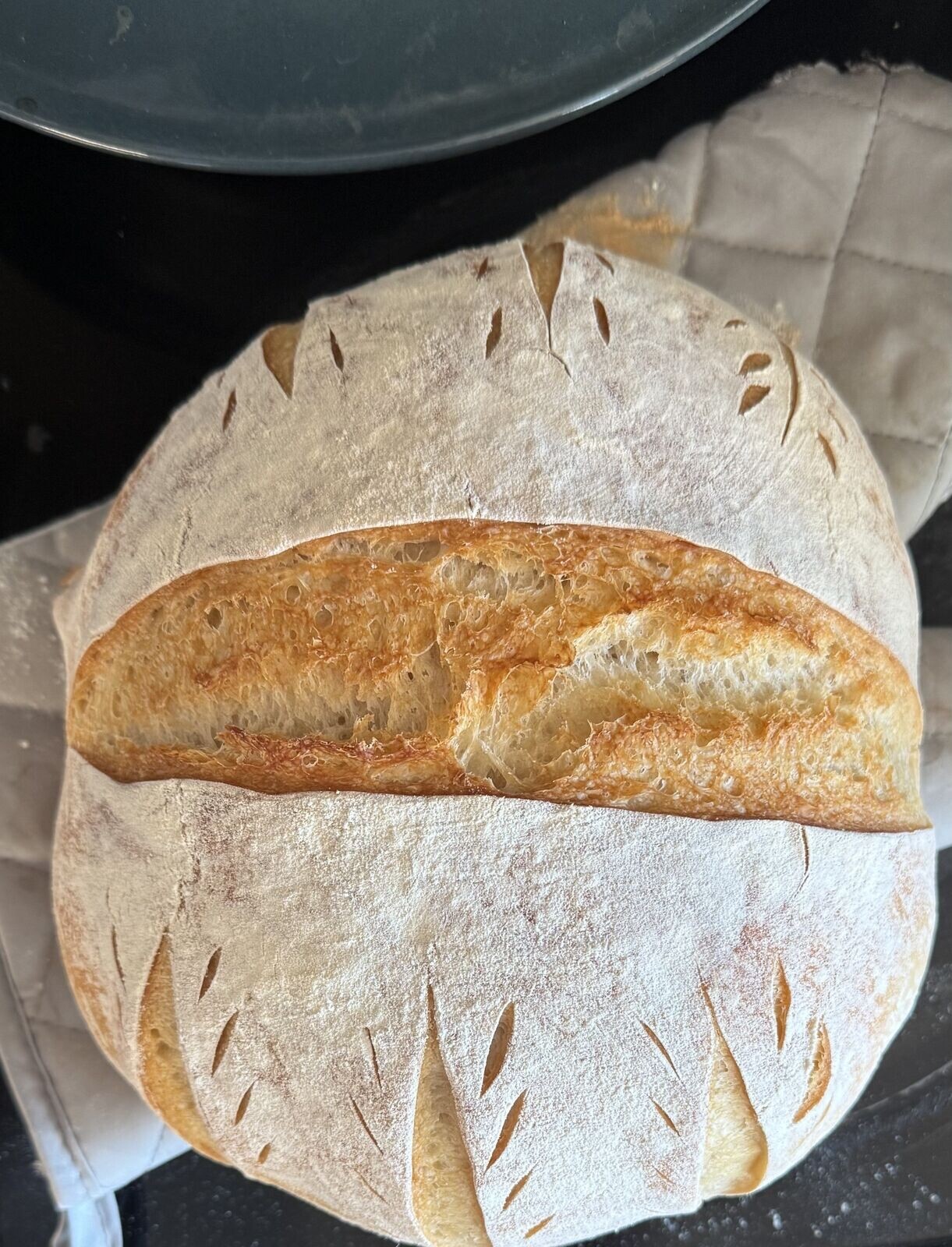EASY Sourdough Starter Heritage San Francisco – Live 200yrs Old TOP SELLER!
