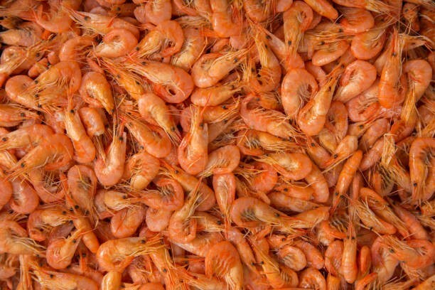 Sun Dried Salted Large Prawn Shrimps High Quality Sri Lankan Product 250g